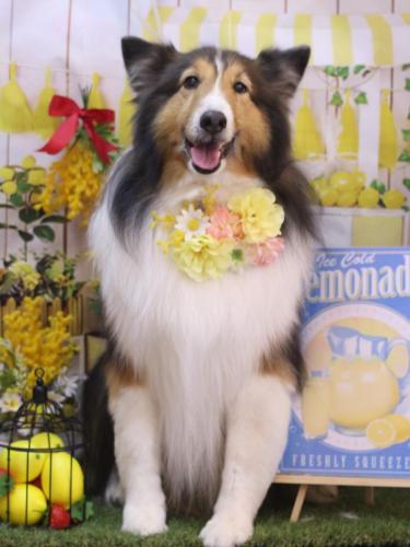 20240410ヒューゴくん